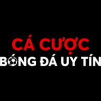 Cá Cược Bóng Đá Profile Picture