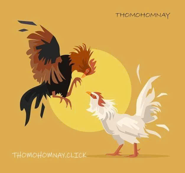 thomohomnay ĐÁ GÀ TRỰC TIẾP Profile Picture