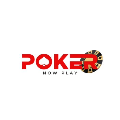 Playpokernowapp Profile Picture