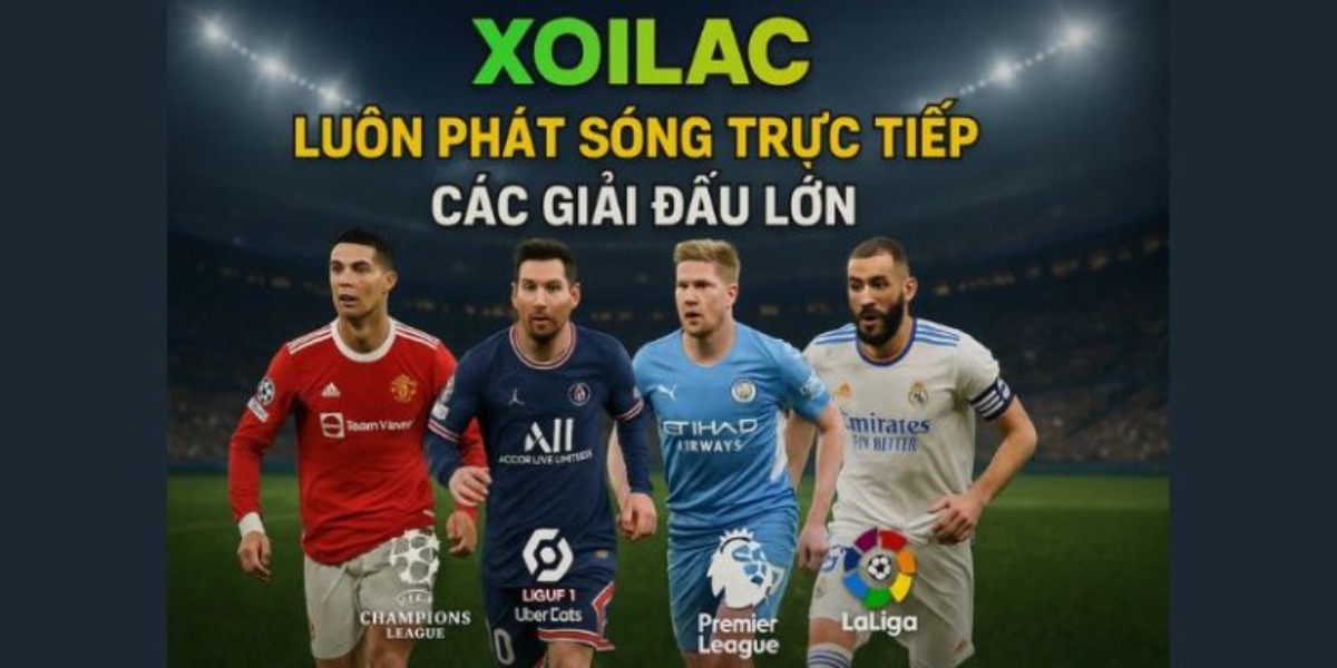 maniffesto com lừa đảo người dùng Cover Image
