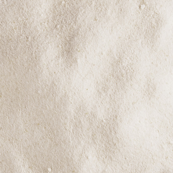 Organic MCT Coconut Powder Bulk | Organic Coconut Water Powder Importer