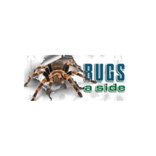 Bugs A Side Pest Control Services