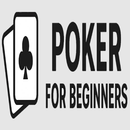 Pokerforbeginnershub com Profile Picture