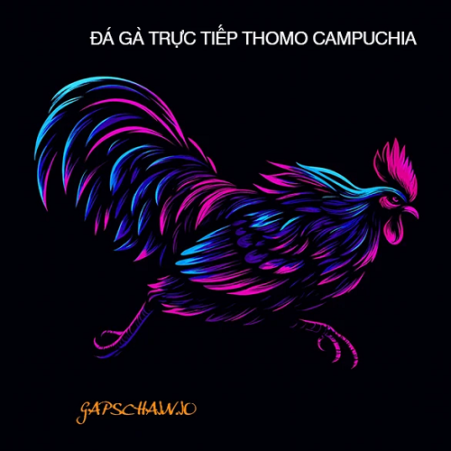 ĐÁ GÀ TRỰC TIẾP THOMO Profile Picture