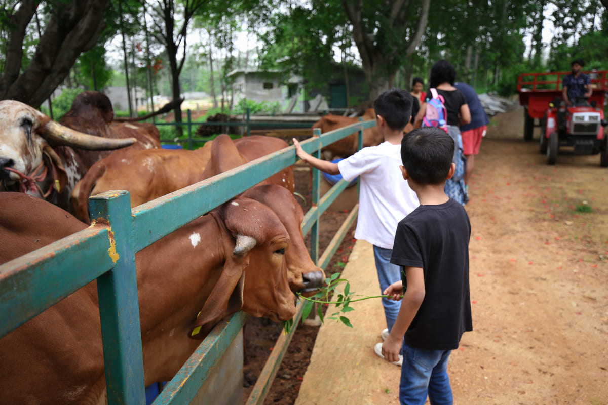 Adventure, Nature & Teamwork: Farmhouse Trips for Students Aged 10–18 - Big Barn