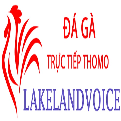 Đá Gà Trực Tiếp Thomo Profile Picture
