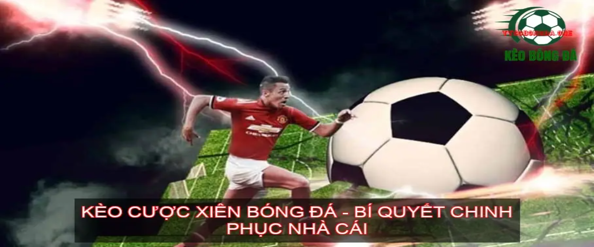 Soi Kèo Bóng Đá Chuẩn B Quyết Thắng Lớn Từ Chuyên Gia Cover Image