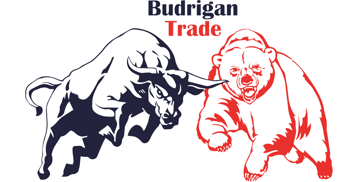 Budrigantrade - About us