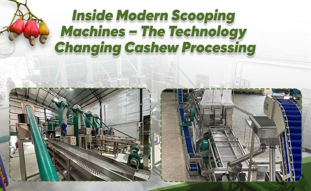 Inside Modern Scooping Machines – The Technology Changing Cashew Processing