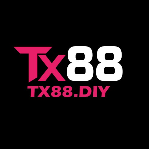 tx88diy Profile Picture