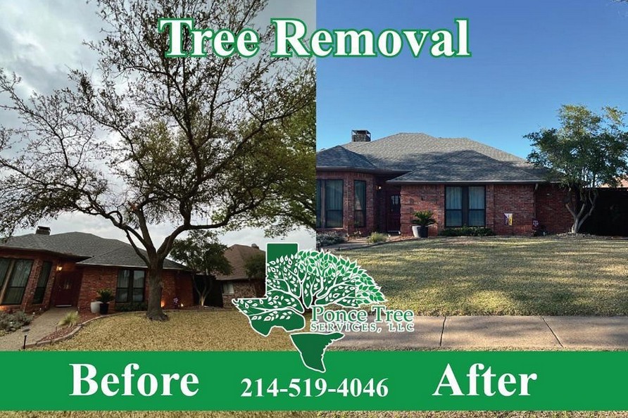 Ponce Tree Services Cover Image