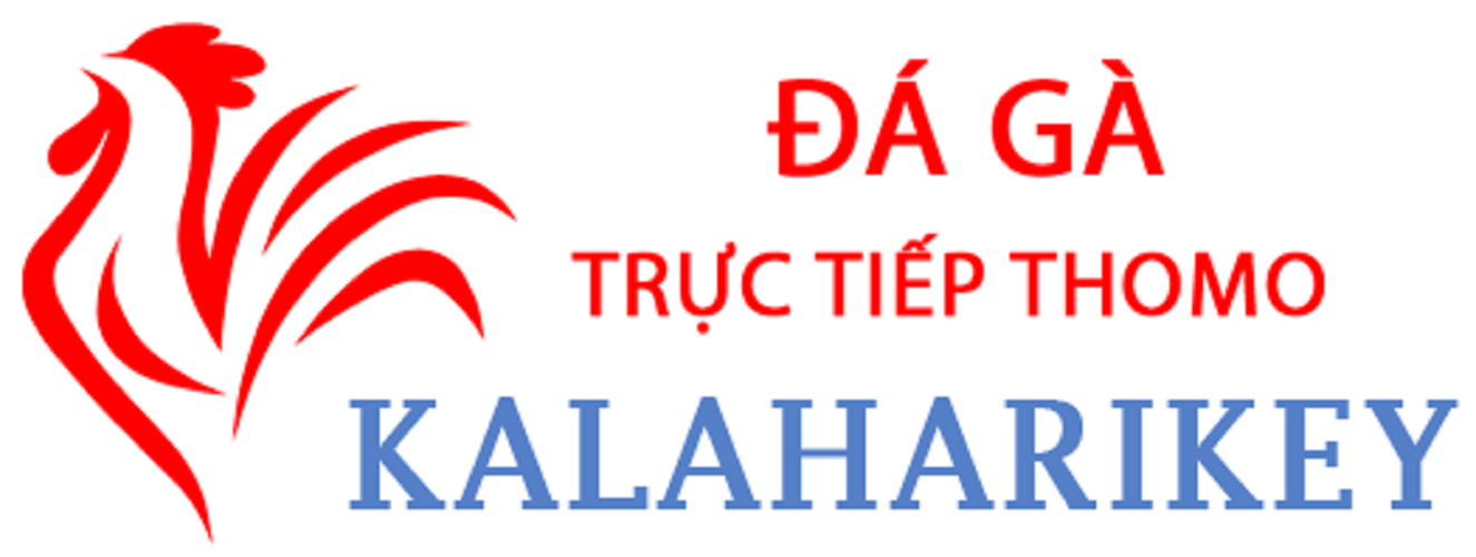 Đá Gà Trực Tiếp Thomo Cover Image