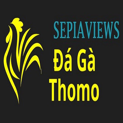 Đá Gà Trực Tiếp Thomo Profile Picture