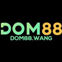 dom88 wang Profile Picture