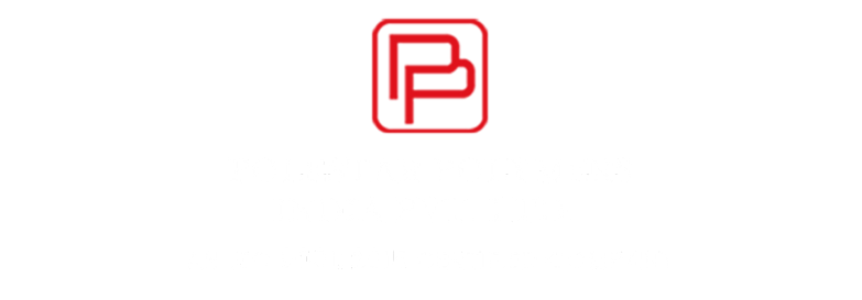 Polestar Polymers Cover Image