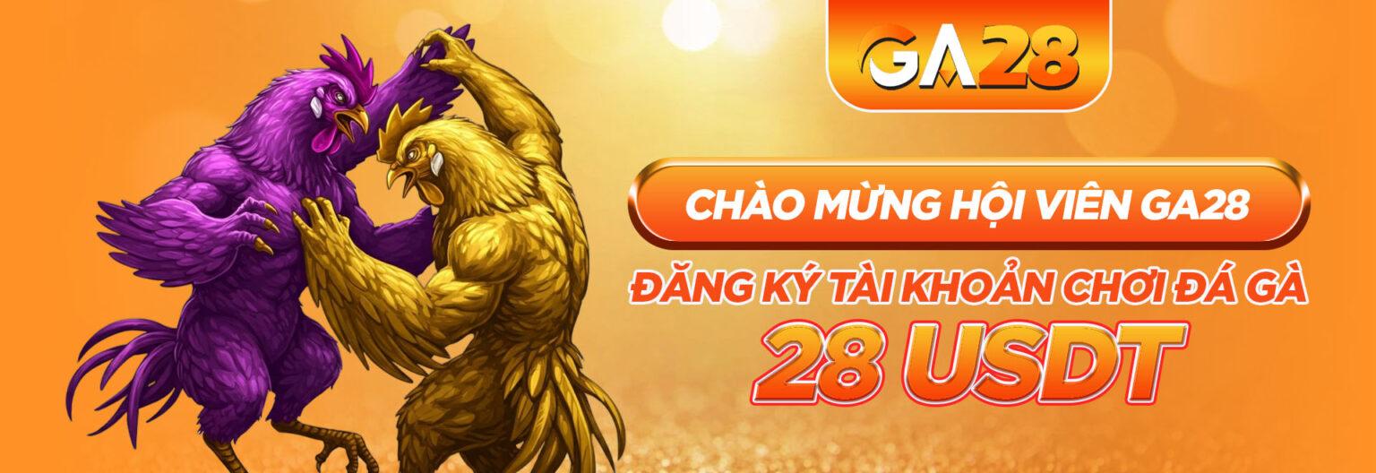 GA28 Games Cover Image