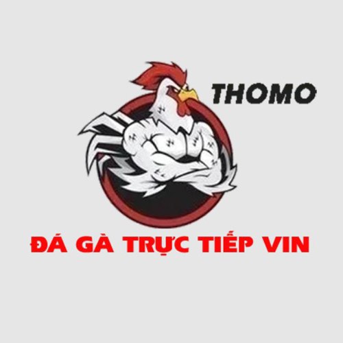 ĐÁ GÀ TRỰC TIẾP Profile Picture