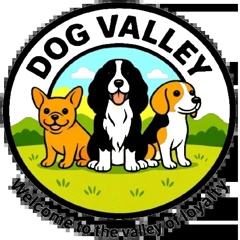 Dog valley Profile Picture