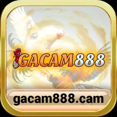 gacam888cam Profile Picture