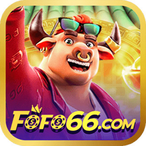 FOFO66 Profile Picture