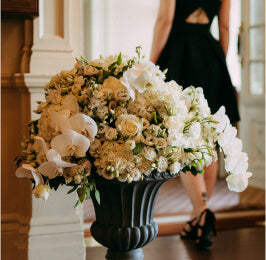 How Kholisani Solo Continues to Make a Positive Difference – Site Title