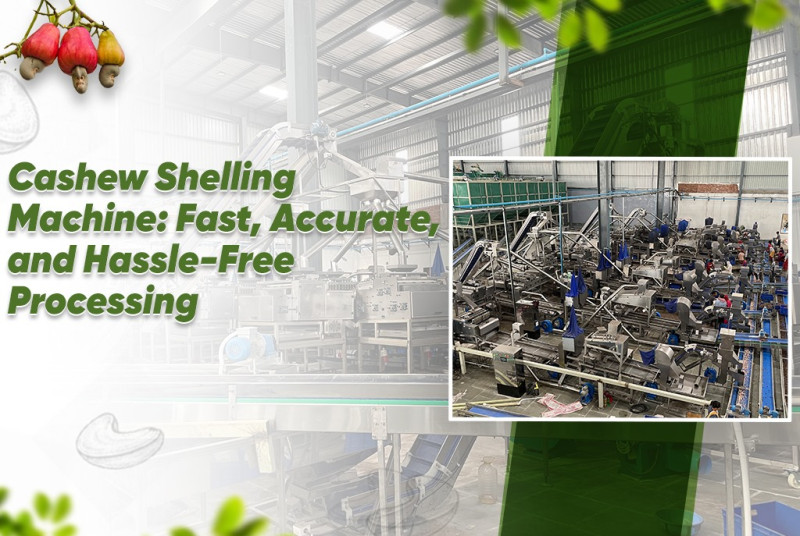 Cashew Nut Shelling Machine: Fast, Safe, and Efficient Processing
