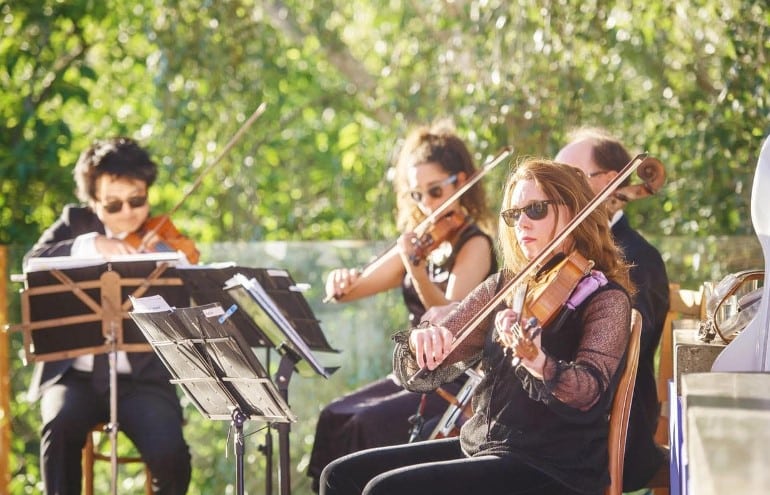 Wedding String Quartets and Bands String Musicians Australia
