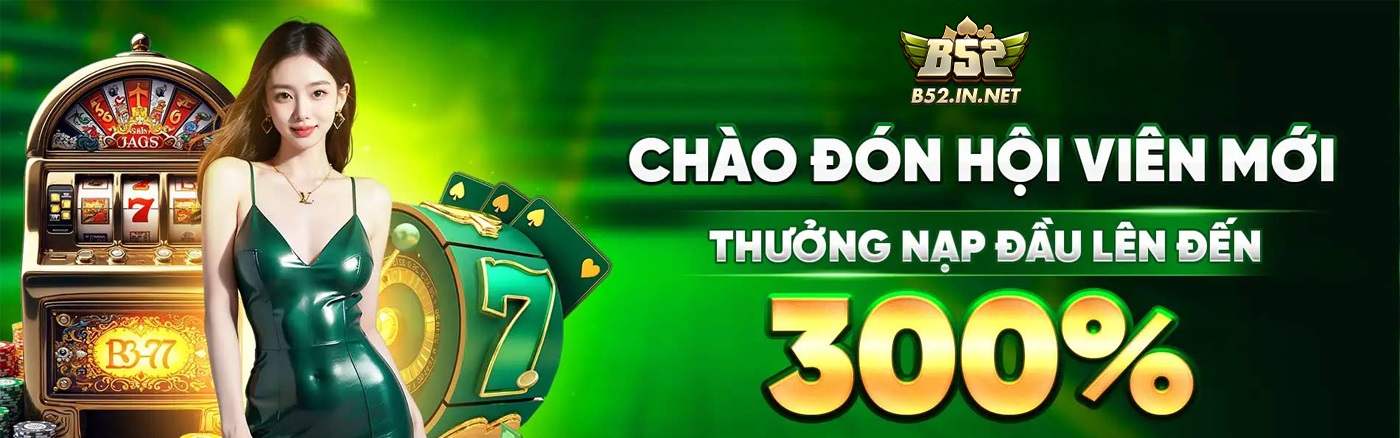 B52 in net Cover Image