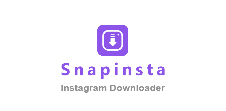 SnapInsta – Instagram Downloader to Save Video, Reels, Stories, and Photos