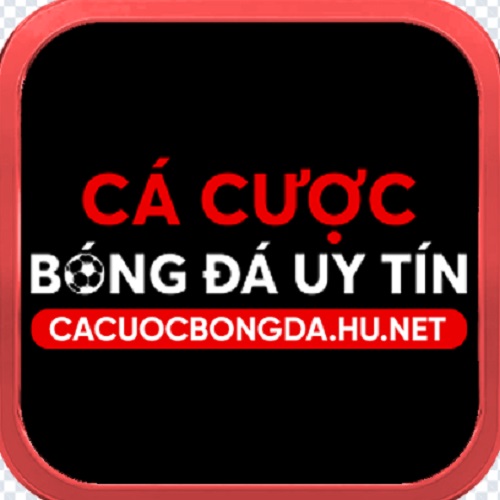 Cá cược bóng đá Profile Picture