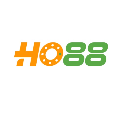 HO88 Profile Picture