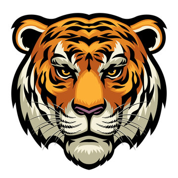 Tiger Exchange 247 Profile Picture