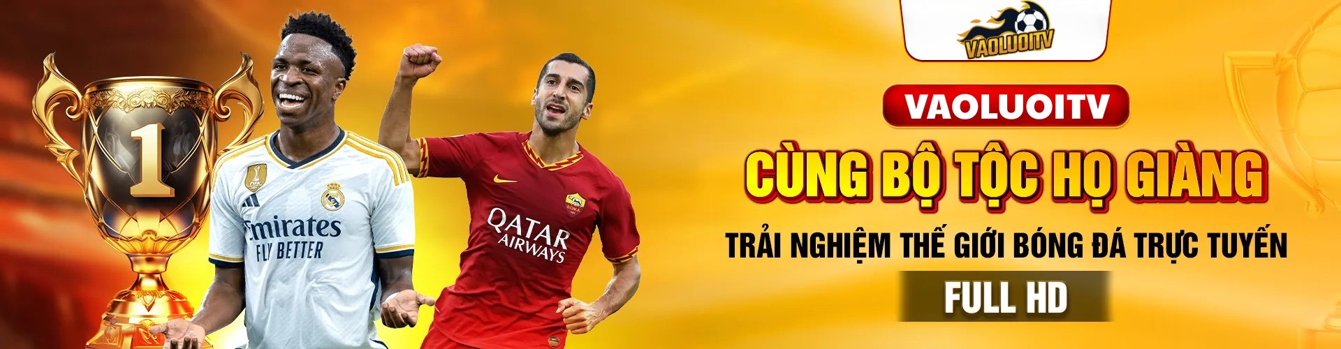 Vaoluoitv pro Cover Image