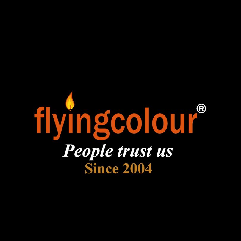 Flyingcolour Business Setup Cover Image