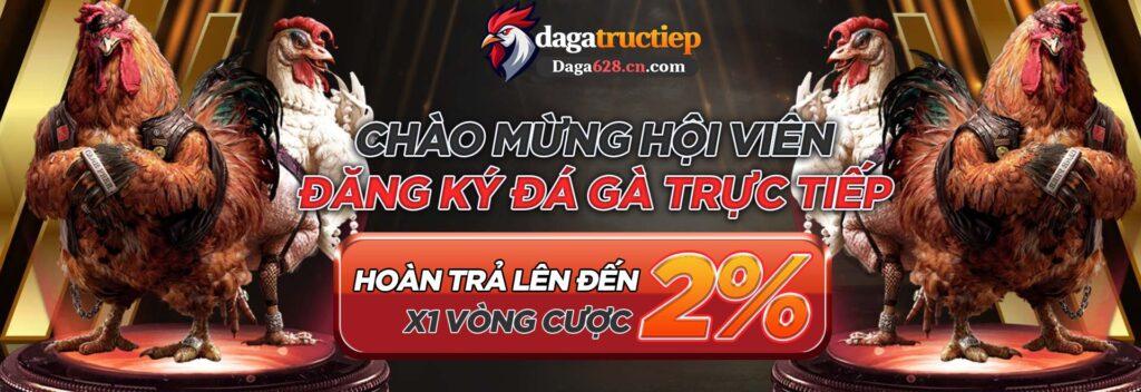 Daga628 Đá gà trực tiếp Cover Image