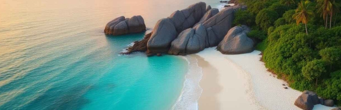 Beachory Cover Image