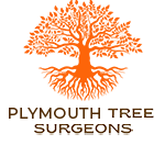 Tree Surgeon Plymouth Profile Picture