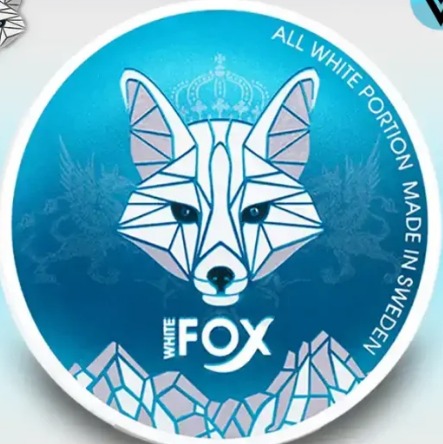 whitefoxdubaii Profile Picture