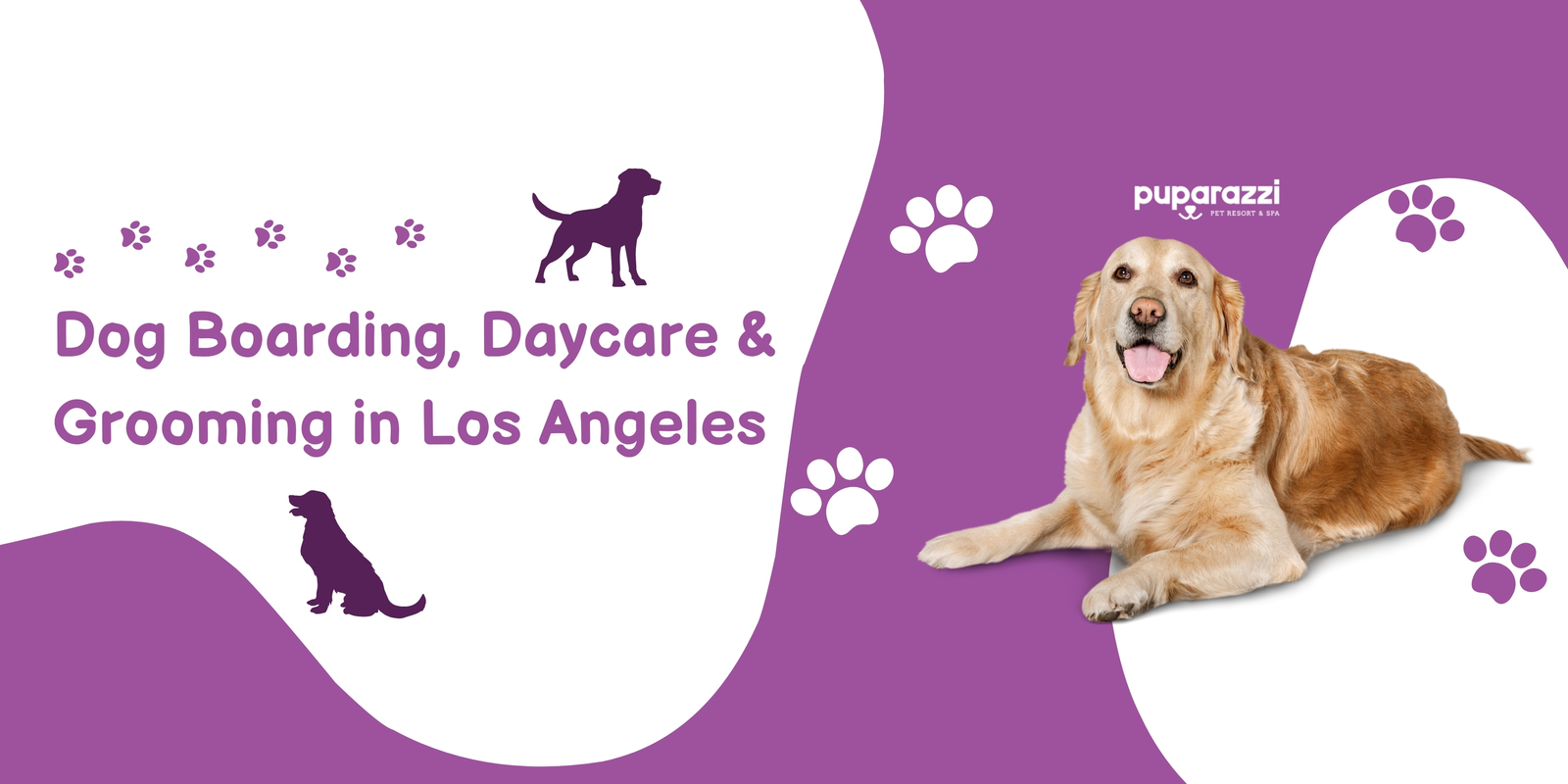 Puparazzi LA Cover Image