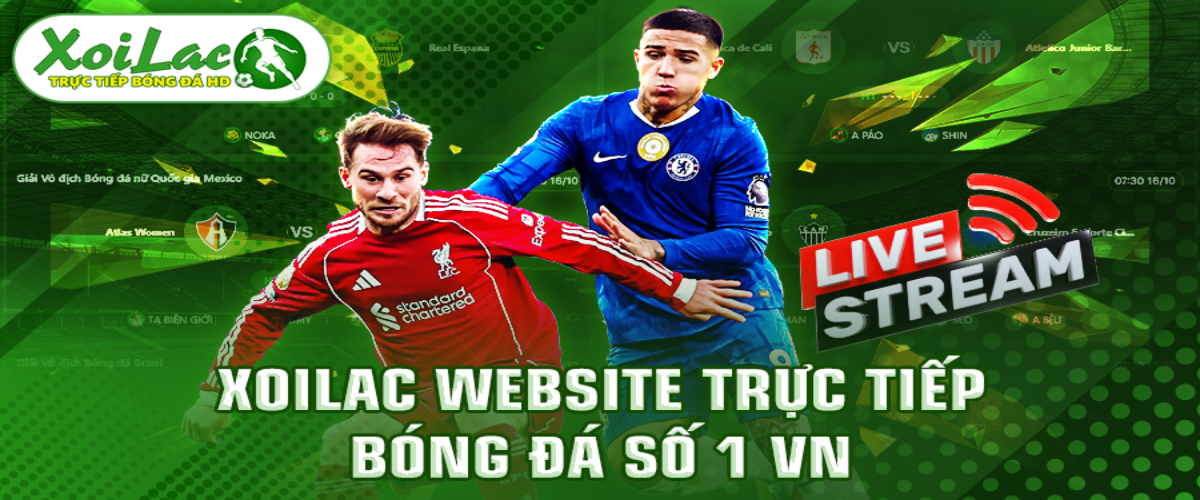 healthphone org gia mao Cover Image