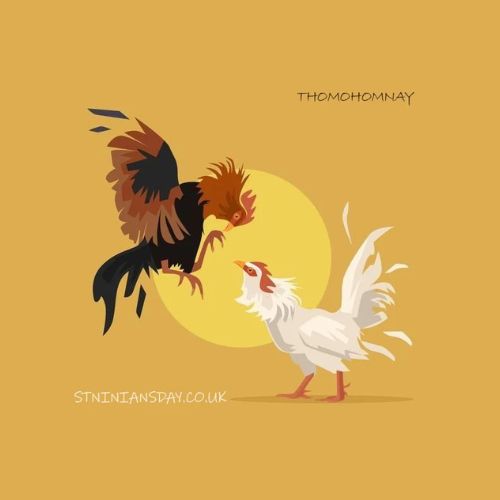 ĐÁ GÀ TRỰC TIẾP Profile Picture