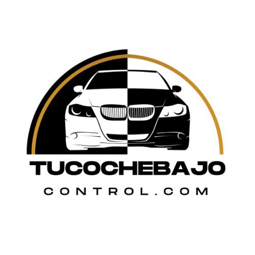 TuCocheBajoControl Profile Picture