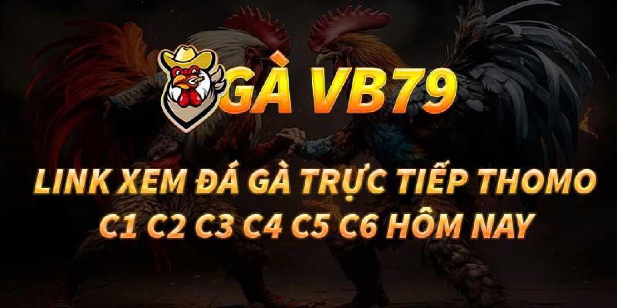 Gà VB79 Cover Image