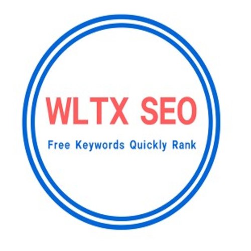 WPSQM Wordpress Speed Profile Picture