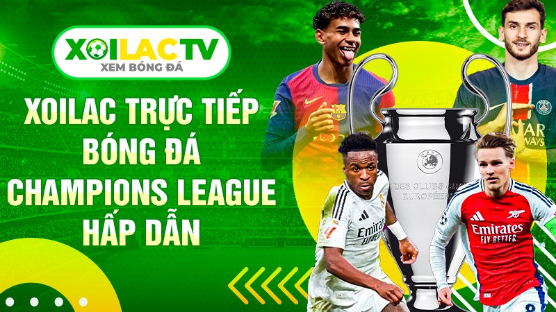 thaistudents com gia mao Cover Image