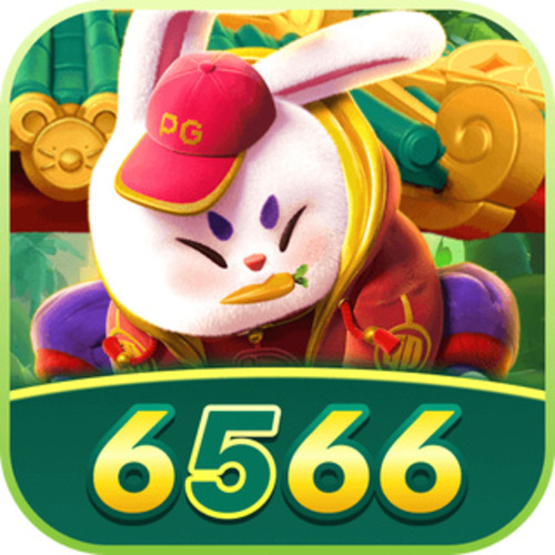 6566 Profile Picture