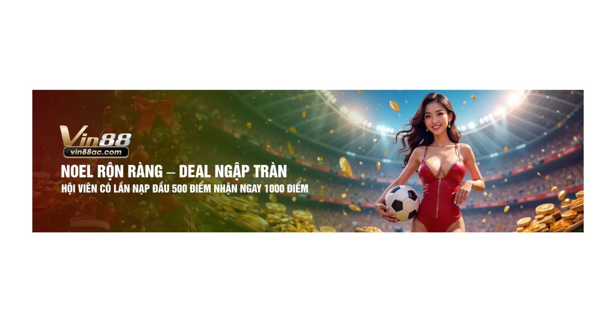 VIN88 ACCOM Cover Image