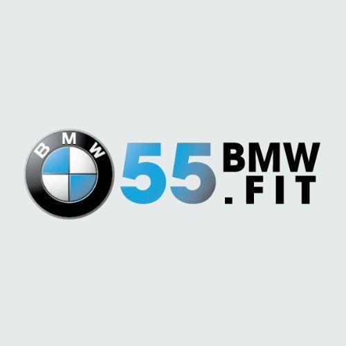 55BMW VIP Program Profile Picture
