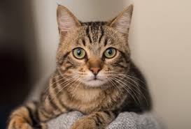 Gabby Jons Profile Picture